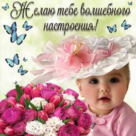 Открытки хорошего настроения Открытка с пожеланиями хорошего настроения, отличного настроения Открытка картинка открытки картинки хорошего настроения, прекрасного настроения, пожелания прекрасного настроения открытка, картинка хорошего настроения скачать бесплатно