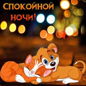 Открытки спокойной ночи Открытка спокойной ночи, пожелания доброй, спокойной ночи, сладких снов Открытка картинка открытки картинки с пожеланиями спокойной ночи, доброй ночи, ночки, открытка картинка сладких снов спокойной ночи, доброй ночи скачать бесплатно .