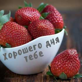 Открытки хорошего дня! Открытка хорошего дня, пожелания хорошего дня, хорошего денёчка Открытка картинка открытки картинки хорошего дня, пожелания хорошего дня, хорошего денёчка, открытка картинка красивая хорошего дня, денька, денёчка скачать бесплатно