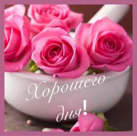 Открытки хорошего дня! Открытка хорошего дня, пожелания хорошего дня, хорошего денёчка Открытка картинка открытки картинки хорошего дня, пожелания хорошего дня, хорошего денёчка, открытка картинка красивая хорошего дня, денька, денёчка скачать бесплатно