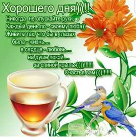 Открытки хорошего дня! Открытка хорошего дня, пожелания хорошего дня, хорошего денёчка Открытка картинка открытки картинки хорошего дня, пожелания хорошего дня, хорошего денёчка, открытка картинка красивая хорошего дня, денька, денёчка скачать бесплатно