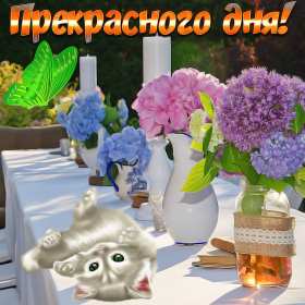 Открытки хорошего дня! Открытка хорошего дня, пожелания хорошего дня, хорошего денёчка Открытка картинка открытки картинки хорошего дня, пожелания хорошего дня, хорошего денёчка, открытка картинка красивая хорошего дня, денька, денёчка скачать бесплатно