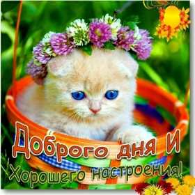 Открытки хорошего дня! Открытка хорошего дня, пожелания хорошего дня, хорошего денёчка Открытка картинка открытки картинки хорошего дня, пожелания хорошего дня, хорошего денёчка, открытка картинка красивая хорошего дня, денька, денёчка скачать бесплатно