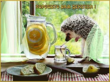 Открытки хорошего дня! Открытка хорошего дня, пожелания хорошего дня, хорошего денёчка Открытка картинка открытки картинки хорошего дня, пожелания хорошего дня, хорошего денёчка, открытка картинка красивая хорошего дня, денька, денёчка скачать бесплатно