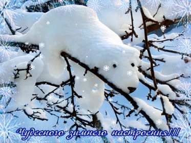 Открытки зимнего настроения Открытки зимнего настроения, пожелания зимнего настроения Открытка картинка открытки картинки зимнего настроения, пожелать, пожелания зимнего настроения, картинка открытка зимняя, зимнее настроение, хорошего зимнего настроения