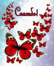 Открытки спасибо Открытки картинки спасибо, с надписью спасибо, благодарю, большое спасибо Открытка картинка открытки картинки спасибо, большое спасибо, с надписью спасибо, открытка картинка спасибо, спасибки, вырожение благодарности открытки спасибо скачать