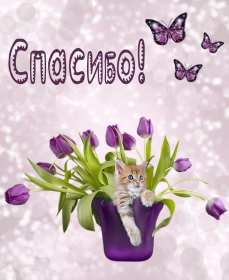 Открытка! Открытки картинки спасибо, с надписью спасибо, благодарю, большое спасибо