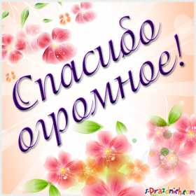 Открытки спасибо Открытки картинки спасибо, с надписью спасибо, благодарю, большое спасибо Открытка картинка открытки картинки спасибо, большое спасибо, с надписью спасибо, открытка картинка спасибо, спасибки, вырожение благодарности открытки спасибо скачать