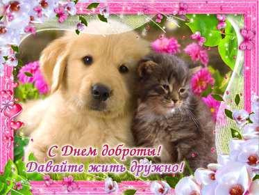 Открытка! Открытка день доброты, с днём доброты, поздравления на день доброты