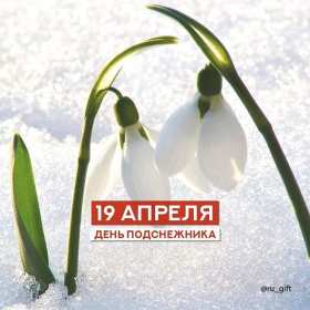 Открытки с днём подснежника Открытка картинка весенний праздник день подснежника, поздравления Открытка открытки картинка картинки день подснежника, поздравления с днём подснежника, весенний цветок подснежник, день подснежника, открытка картинка на день подснежника