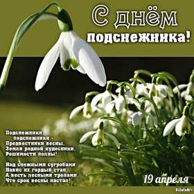Открытки с днём подснежника Открытка картинка весенний праздник день подснежника, поздравления Открытка открытки картинка картинки день подснежника, поздравления с днём подснежника, весенний цветок подснежник, день подснежника, открытка картинка на день подснежника
