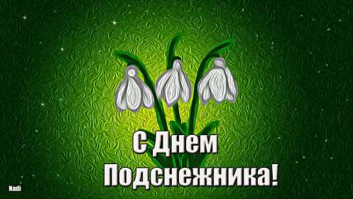 Открытки с днём подснежника Открытка картинка весенний праздник день подснежника, поздравления Открытка открытки картинка картинки день подснежника, поздравления с днём подснежника, весенний цветок подснежник, день подснежника, открытка картинка на день подснежника
