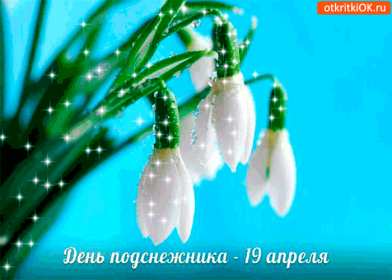 Открытки с днём подснежника Открытка картинка весенний праздник день подснежника, поздравления Открытка открытки картинка картинки день подснежника, поздравления с днём подснежника, весенний цветок подснежник, день подснежника, открытка картинка на день подснежника