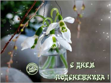 Открытки с днём подснежника Открытка картинка весенний праздник день подснежника, поздравления Открытка открытки картинка картинки день подснежника, поздравления с днём подснежника, весенний цветок подснежник, день подснежника, открытка картинка на день подснежника