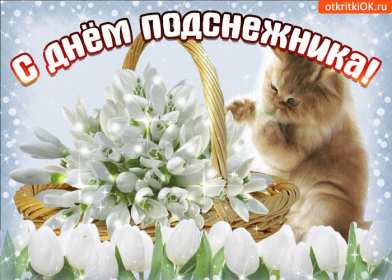 Открытки с днём подснежника Открытка картинка весенний праздник день подснежника, поздравления Открытка открытки картинка картинки день подснежника, поздравления с днём подснежника, весенний цветок подснежник, день подснежника, открытка картинка на день подснежника