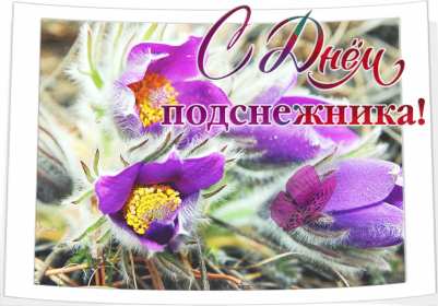 Открытки с днём подснежника Открытка картинка весенний праздник день подснежника, поздравления Открытка открытки картинка картинки день подснежника, поздравления с днём подснежника, весенний цветок подснежник, день подснежника, открытка картинка на день подснежника