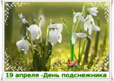 Открытки с днём подснежника Открытка картинка весенний праздник день подснежника, поздравления Открытка открытки картинка картинки день подснежника, поздравления с днём подснежника, весенний цветок подснежник, день подснежника, открытка картинка на день подснежника