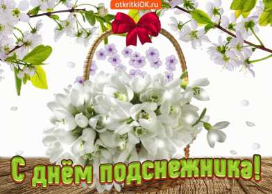 Открытки с днём подснежника Открытка картинка весенний праздник день подснежника, поздравления Открытка открытки картинка картинки день подснежника, поздравления с днём подснежника, весенний цветок подснежник, день подснежника, открытка картинка на день подснежника