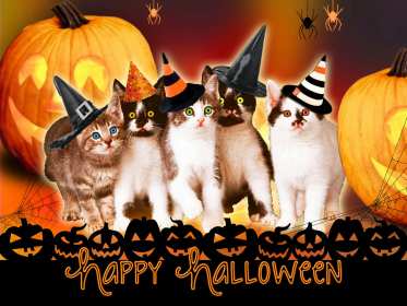 Открытка! Открытка картинка с праздником хэллоуин, на хэллоуин, 31 октября