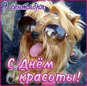 Открытки день красоты Открытка на праздник день красоты поздравления день красоты. Открытка открытки картинка картинки день красоты, с днём красоты, 9 сентября праздник день красоты, яркие открытки на яркий праздник день красоты скачать бесплатно