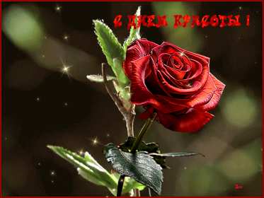 Открытки день красоты Открытка с днём красоты, поздравления на день красоты 9 сентября Открытка картинка открытки картинки на день красоты, с днём красоты, поздравления день красоты, 9 сентября, красивая открытка картинка день красоты скачать бесплатно