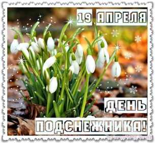 Открытки с днём подснежника Открытка с днём подснежника, весенний праздник день подснежника Открытка картинка открытки картинки на день подснежника, с днём подснежника, весенний праздник день подснежника, открытка картинка с поздравлениями на день подснежника