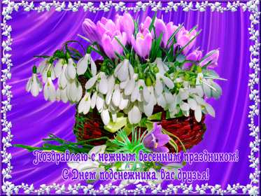 Открытки с днём подснежника Открытка с днём подснежника, весенний праздник день подснежника Открытка картинка открытки картинки на день подснежника, с днём подснежника, весенний праздник день подснежника, открытка картинка с поздравлениями на день подснежника