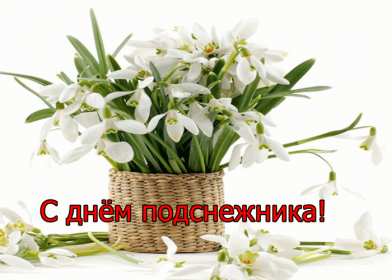 Открытки с днём подснежника Открытка с днём подснежника, весенний праздник день подснежника Открытка картинка открытки картинки на день подснежника, с днём подснежника, весенний праздник день подснежника, открытка картинка с поздравлениями на день подснежника