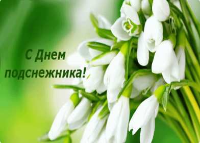 Открытки с днём подснежника Открытка с днём подснежника, весенний праздник день подснежника Открытка картинка открытки картинки на день подснежника, с днём подснежника, весенний праздник день подснежника, открытка картинка с поздравлениями на день подснежника