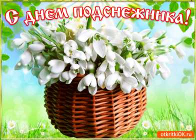 Открытки с днём подснежника Открытка с днём подснежника, весенний праздник день подснежника Открытка картинка открытки картинки на день подснежника, с днём подснежника, весенний праздник день подснежника, открытка картинка с поздравлениями на день подснежника