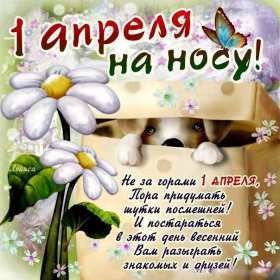 Открытки с днём смеха, 1 апреля Открытка с праздником день смеха, первое апреля, поздравления. Открытка открытки картинка картинки первое апреля, 1 апреля день смеха, 1 апреля никому не верю, открытка картинка смешная на день смеха, 1 апреля скачать бесплатно