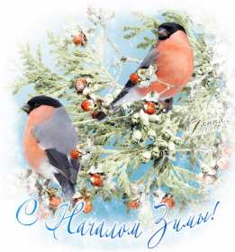 Открытки первый день зимы Открытка 1 декабря первый день зимы, с началом зимы поздравления Картинка картинки открытка открытки начало зимы, с наступлением зимы, 1 декабря с первым днём зимы, открытка картинка с началом зимы, первый день зимы скачать бесплатно