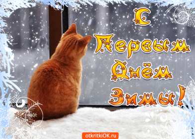 Открытки первый день зимы Открытка 1 декабря первый день зимы, с началом зимы поздравления Картинка картинки открытка открытки начало зимы, с наступлением зимы, 1 декабря с первым днём зимы, открытка картинка с началом зимы, первый день зимы скачать бесплатно