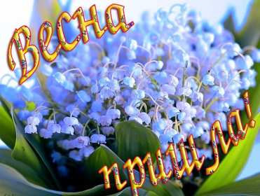 Открытки первый день весны Открытка 1 марта первый весенний день, с первым днём весны . Открытки картинки с первым днём весны, начало весны, открытка картинка первый весенний день 1 марта, красивая весенняя открытка первый день весны скачать бесплатно