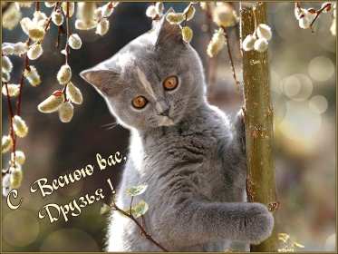 Открытки первый день весны Открытка 1 марта первый весенний день, с первым днём весны . Открытки картинки с первым днём весны, начало весны, открытка картинка первый весенний день 1 марта, красивая весенняя открытка первый день весны скачать бесплатно