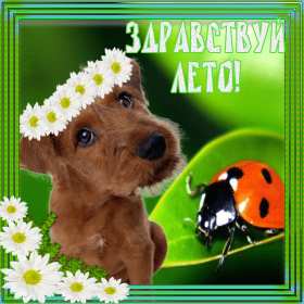 Открытка! Открытка первый день лета 1 июня, картинка с первым днём лета