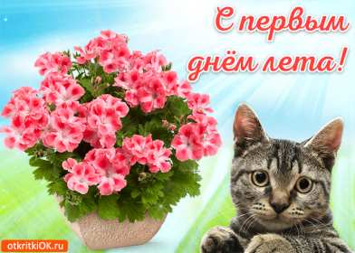 Открытка! Открытка первый день лета 1 июня, картинка с первым днём лета