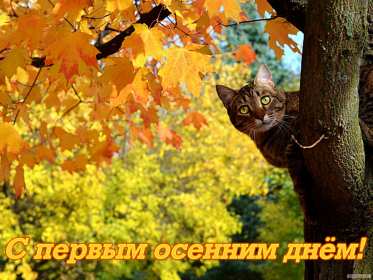 Открытки первый день осени Открытка первый день осени, поздравления с началом осени Открытка открытки картинка картинки с началом осени, первый осенний день, осень наступила, открытка картинка первый день осени, с наступлением осени скачать бесплатно