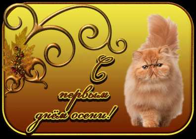 Открытки первый день осени Открытка первый день осени, поздравления с началом осени Открытка открытки картинка картинки с началом осени, первый осенний день, осень наступила, открытка картинка первый день осени, с наступлением осени скачать бесплатно