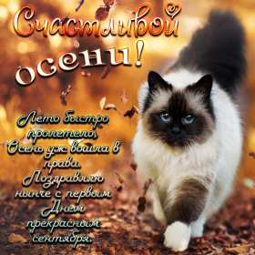 Открытки первый день осени Открытка первый день осени, с началом осени поздравления . Открытка картинка открытки картинки с наступлением осени, с началом осени, здравствуй осень, картинка открытка первый день осени, первый осенний день картинки скачать бесплатно