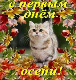 Открытки первый день осени Открытка первый день осени, с началом осени поздравления . Открытка картинка открытки картинки с наступлением осени, с началом осени, здравствуй осень, картинка открытка первый день осени, первый осенний день картинки скачать бесплатно