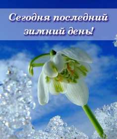 Открытки последний день зимы Открытка последний день зимы, поздравления с последним зимним днём Открытка картинка последний день зимы, открытки картинки с последним днём зимы, красивая картинка открытка с поздравлениями с последним днём зимы, последний зимний день