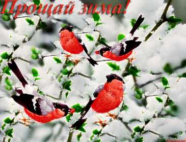 Открытки последний день зимы Открытка последний день зимы, поздравления с последним зимним днём Открытка картинка последний день зимы, открытки картинки с последним днём зимы, красивая картинка открытка с поздравлениями с последним днём зимы, последний зимний день