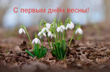 Открытки первый день весны Открытка с первым днём весны, 1 марта начало весны, поздравления с весной Открытка картинка первый день весны, с первым днём весны, открытки картинки с началом весны 1 марта первый день весны, поздравляю с первым днём весны скачать бесплатно
