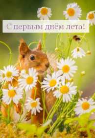 Открытки первый день лета Открытка с первым летним днём, с первым днём лета, с началом лета Открытка картинка начало лета, первый день лета, с наступлением лета, открытки картинки 1июня первый летний день, первый день лета, начало лета скачать бесплатно