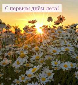 Открытки первый день лета Открытка с первым летним днём, с первым днём лета, с началом лета Открытка картинка начало лета, первый день лета, с наступлением лета, открытки картинки 1июня первый летний день, первый день лета, начало лета скачать бесплатно