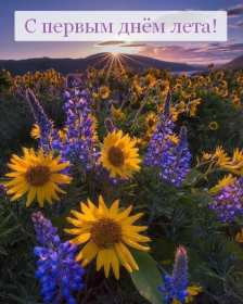 Открытки первый день лета Открытка с первым летним днём, с первым днём лета, с началом лета Открытка картинка начало лета, первый день лета, с наступлением лета, открытки картинки 1июня первый летний день, первый день лета, начало лета скачать бесплатно