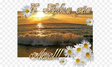 Открытки первый день лета Открытка с первым летним днём, с первым днём лета, с началом лета Открытка картинка начало лета, первый день лета, с наступлением лета, открытки картинки 1июня первый летний день, первый день лета, начало лета скачать бесплатно