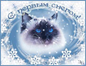 Открытки с первым снегом Открытка с первым снегом, первый снег, поздравления с первым снегом Открытка картинка открытки картинки первый снег, выпал первый снег, поздравления с первым, картинка открытка первый снег, с первым снегом, поздравить с первым снегом