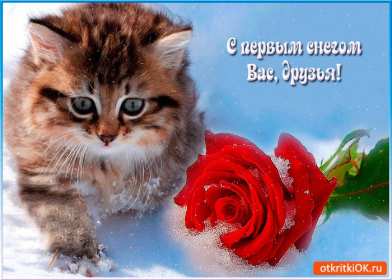 Открытки с первым снегом Открытка с первым снегом, первый снег, поздравления с первым снегом Открытка картинка открытки картинки первый снег, выпал первый снег, поздравления с первым, картинка открытка первый снег, с первым снегом, поздравить с первым снегом